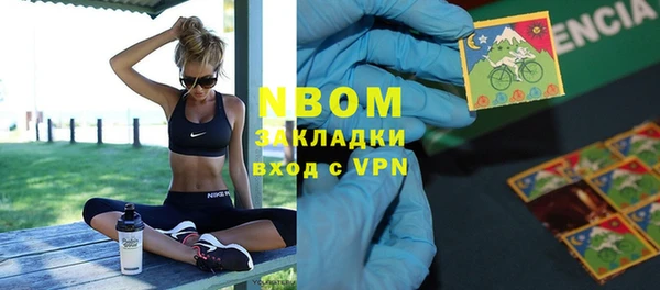 прущий лед Бородино