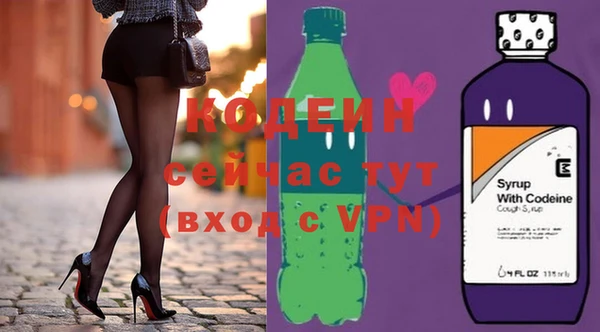 прущий лед Бородино