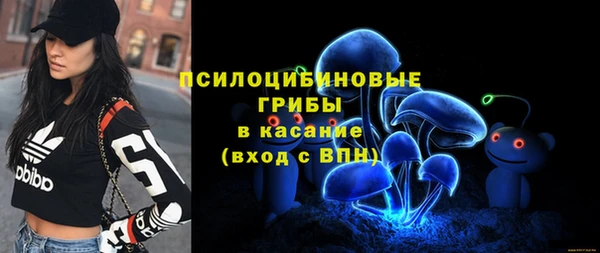 прущий лед Бородино