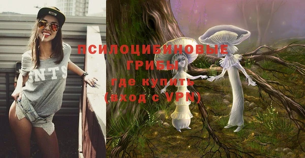 винт Бронницы