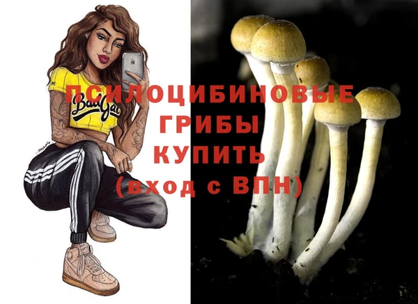 прущий лед Бородино