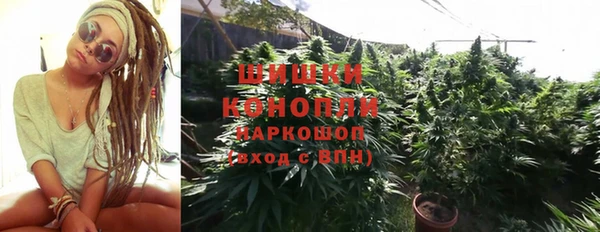 прущий лед Бородино
