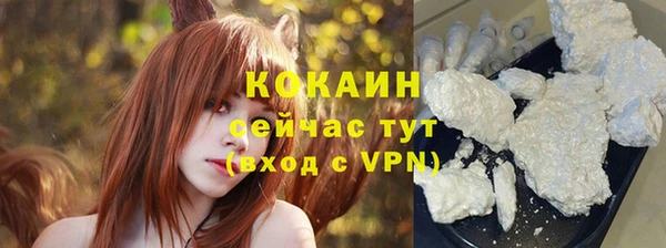 прущий лед Бородино