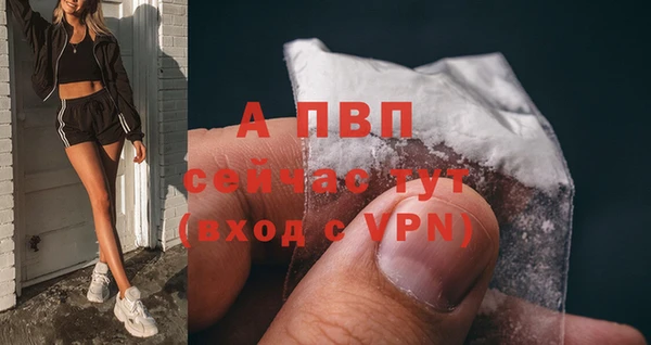 гидропоника Верея
