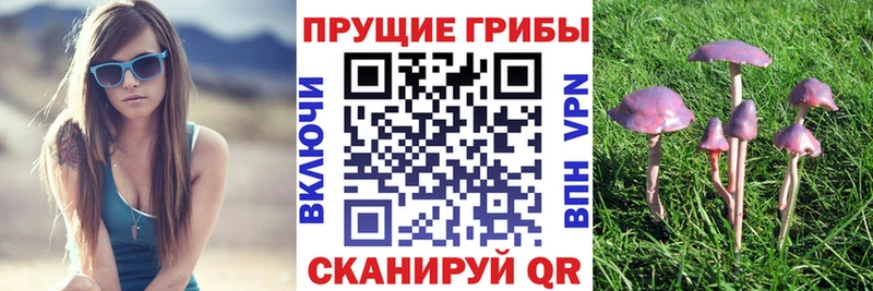 Галлюциногенные грибы MAGIC MUSHROOMS  наркотики  Раменское 